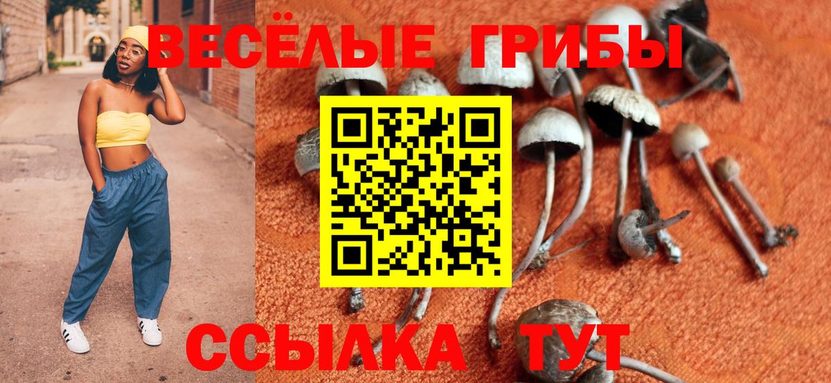 Псилоцибиновые грибы мицелий Реутов